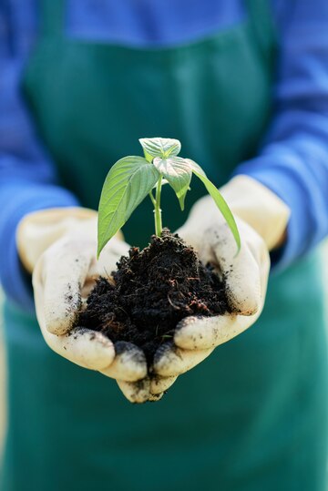 farmer-holding-seedling_1098-21217